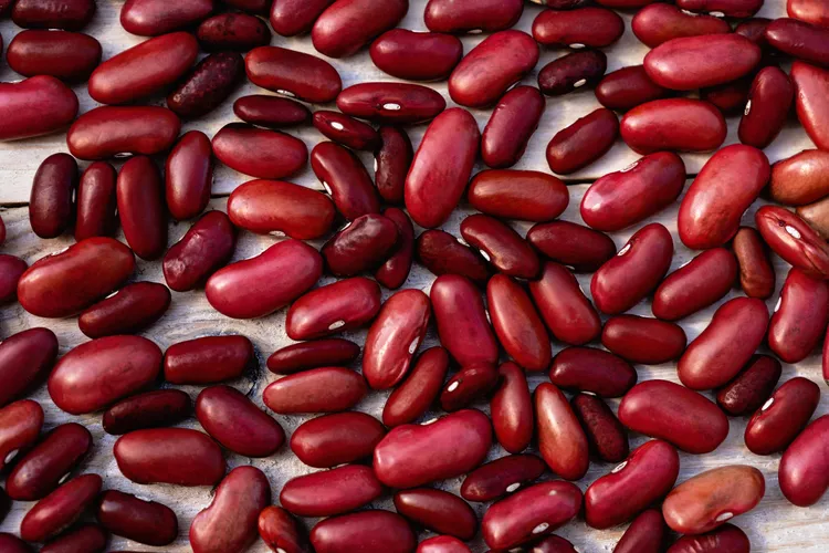 Foods high in iron, Iron rich foods, More iron than spinach, Best iron sources, Plant based iron foods